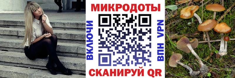 Купить  Малоархангельск  Галлюциногенные грибы прущие грибы 